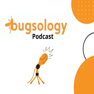 Bugsology Pest Control Solutions
