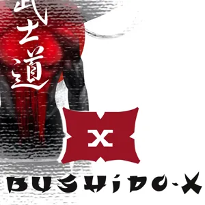 BushidoX Akademie - Ziel