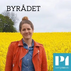 Jorden vi ärvde