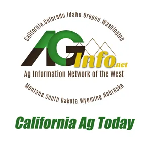 2023 Brought Good News to California Wine Grape Growers