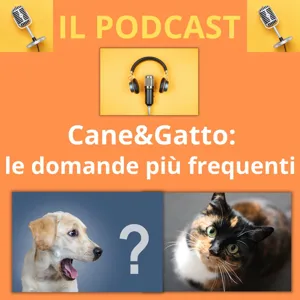 15_Con il cane in vacanza: mare o montagna & quali accortezze prendere