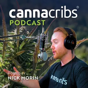 Vegas Cannabis at Pheno Exotic - Jason Leifer - Canna Cribs Podcast (E19)