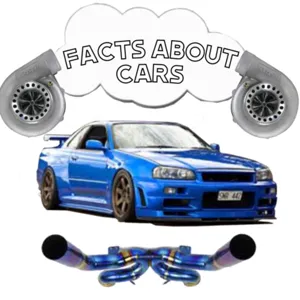 Car fanatics