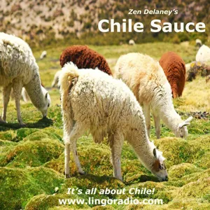 Chile Sauce with Zen Delaney on Lingo Radio Good Friday 2nd April 2021