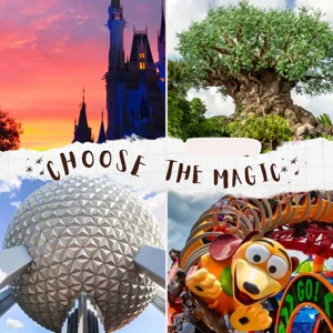 Four Clues To Know Just How Crowded The Magic Kingdom Is