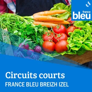 Sire Cui court, ou le numérique au service des petits producteurs