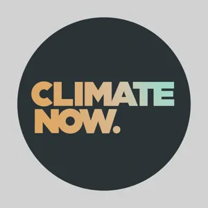 Bill McKibben’s take on building a successful climate movement