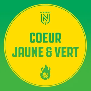 "Je suis supporter du FC Nantes où que je sois" rencontre avec Alexandre Brosseau