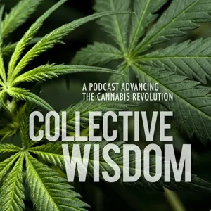 Co-Founder of Dope CFO, Naomi Granger on Accounting Practices for the Cannabis Industry