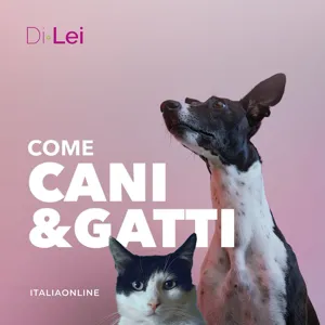 14. Igiene dentale di cani e gatti