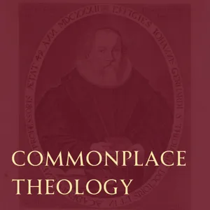 Introducing Commonplace Theology