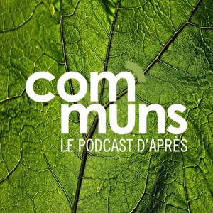 Economie de plateformes - Conférence-podcast avec Michel Bauwens