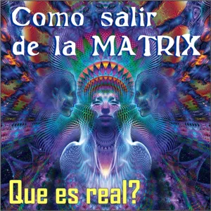 Comprendiendo la Matrix en su totalidad