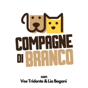 Compagne di Branco - Gatti, razze e allevamenti con Francesca Grechi