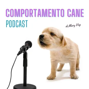 Ep 4 - I cani in passeggiata