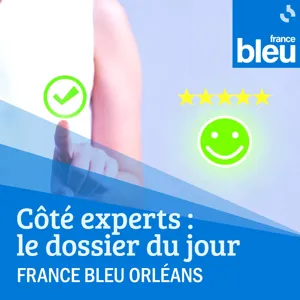 Expertise d'objets : quel est le travail d'un commissaire-priseur ?  Avec Cécile Solibieda, commissaire-priseur