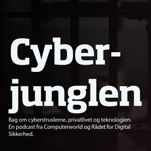 SÃ¥dan bliver du svindlet pÃ¥ nettet