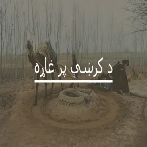 خيبر پښتونخوا کې د اوړو بحران ولې دی؟