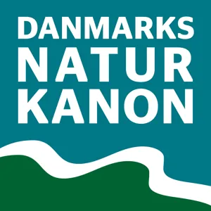 Mandemarke Bakker og Møns Klint (14)