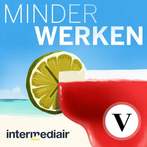 S1E9: Hoe je meer plezier krijgt in je werk