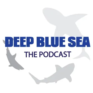 Episode 71 (Jaws 2 - 1978)