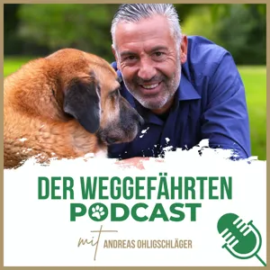 Mehrhundehaltung! Wann ist der beste Zeitpunkt für einen Zweithund?