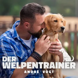 33: Ach du dickes Ding – Übergewicht beim Hund