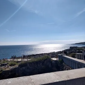 A Caminhada, Vida de Ovelha SaudÃ¡vel