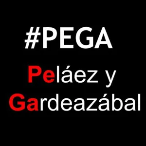 #pega,pelÃ¡ez y gardeazÃ¡bal,febrero 8 2018