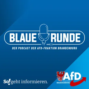 Brandenburg ist kein Windrad-Schrottplatz! | Die Blaue Runde, Ausgabe 27/23 vom 15.03.2023