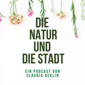 Wald und Holz als CO2-Senken: Eine Diskussion