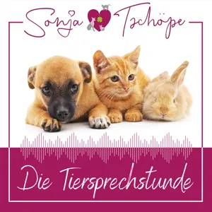 AV043: Online-Beratungen durch Tierheilpraktiker