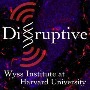 Disruptive: Cancer Vaccine & Hydrogel Drug Delivery