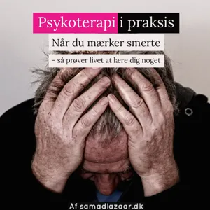 Hvordan opstÃ¥r dysfunktionalitet?1. episode af 3