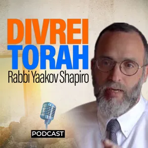 Pesach: Why the Torah treats the aino yodeah lishol like the Rasha