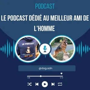 #29 Pierre JOUVENTIN, Du loup au chien