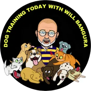 #74 PET TALK TODAY Dog Training with Will Bangura. This week I discuss How To Teach Loose Leash Walking and How To Stop Leash Reactivity. Dog Training, Dog Trainer, Dog Behaviorist. Cat Trainer, Cat Training, Pet Trainer, Pet Training, Will Bangura