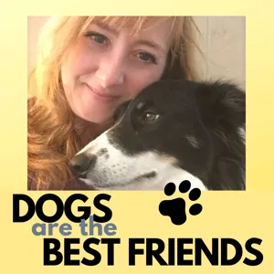 Ep 25 - Dogs vs Doors; Coach Alex Ray's life changing decision; Heart & Soul Dogs