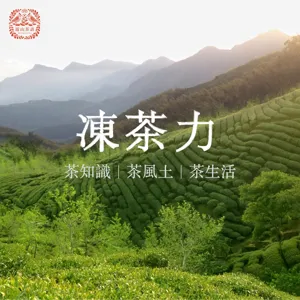 數位導覽｜4. 茶文物介紹-茶葉包裝發展過程