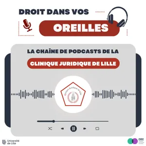 Parcours d'un avocat engagé : Matthieu Quinquis (Président de l'OIP - SF et avocat pénaliste)