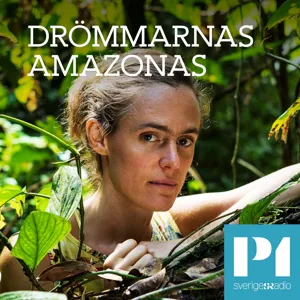 Kokain eller kött – Drömmarnas Amazonas del 4