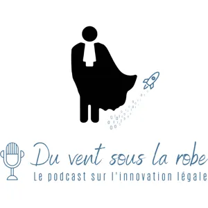 Enke Kebede partie 1 - Les nouveaux modèles de cabinets d'avocats