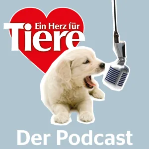 Episode 24: Den krall ich mir - Alles zum Thema Katzenkratzbaum