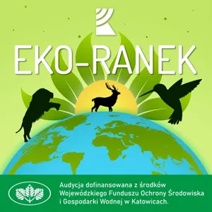 Eko-Ranek. Spacer po ogrodzie