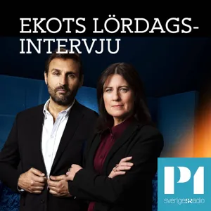 Hur stark är Sveriges röst i EU nu, Katarina Areskoug Mascarenhas, EU-Kommissionens Sverigechef?