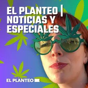 El Planteo Live #1: Mamá Cultiva Argentina, Cris Roots y Pato Liddle Discuten Cannabis, Reprocann, Milei y Cultivo Indoor