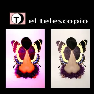 El Telescopio 217, con Deer Tick, Matt Elliott, Xiu Xiu, The Shins...