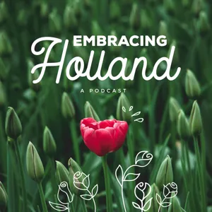 A Postcard From Holland