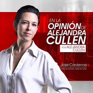 Reforma electoral no cambia ninguna âcomaâ: Alejandra Cullen