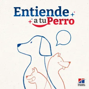 EP 10: Tres perros me salvaron la vida